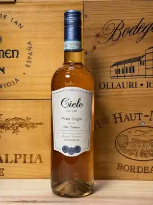 Cielo Pinot Grigio Blush – lichte, elegante rosé uit Italië met een zachte zalmroze kleur. Fris en fruitig, met aroma’s van aardbei, perzik en witte bloesem. Perfect voor zonnige borrels, lichte gerechten en zomerse momenten.