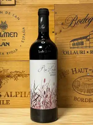 Fles Rio Lindo Syrah – Spaanse rode wijn met tonen van zwart fruit, peper en zachte tannines, uit Castilla-La Mancha.