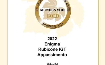 Biscardo Enigma Appassimento Sangiovese wint goud.